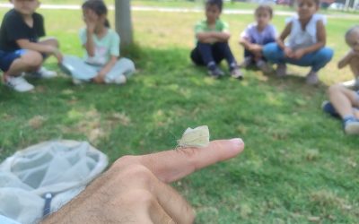 EL grup de primer al jardí de les papallones.