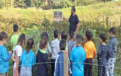 El grup de Les tortugues van visitar les vinyes a la Fontsanta.