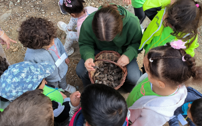 Sortida de tardor a Can Mas